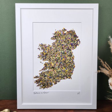 Bláthanna na hÉireann' Native Flowers of Ireland Art Print