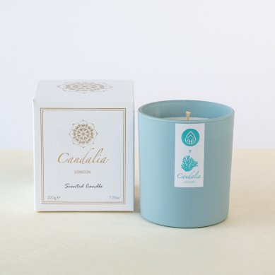 Ocean Suede Candle