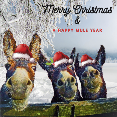 Merry Christmas & A Happy Mule Year - Ireland - The Greeting Card