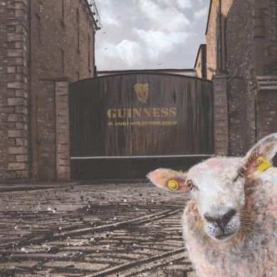 The Born Mucky Collection, Ewe Selfie At St. James Gate