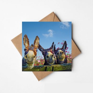 The Three Amigos - The Greeting Card