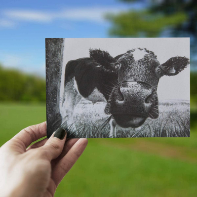 Peek A Moo - The Greeting Card