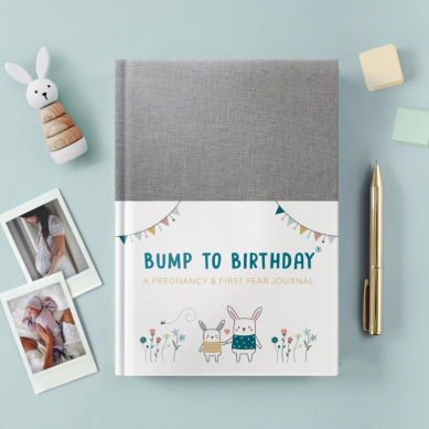 Bump To Birthday, A Pregnancy & First Year Journal