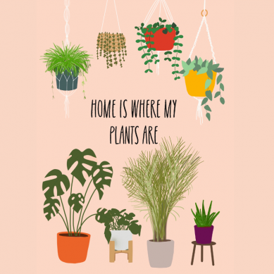 Plant Print - Home is Where my Plants are