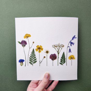 'Bláthanna dúchasacha' Native Flowers Fine Art Print