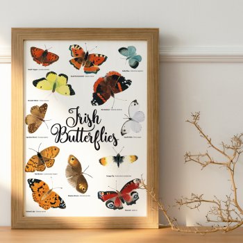 Irish Butterflies Print